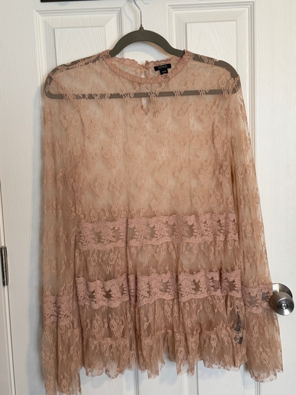 Buffalo David Bitton Blush Lace Blouse Size M Sheer Boho Ruffle Top - Picture 2 of 6